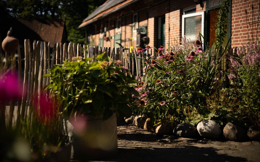 Bauerngarten im Sommer